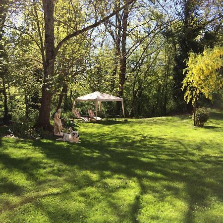Domaine Du Val De Soux Bed & Breakfast Montgaillard-de-Salies Екстериор снимка